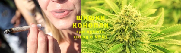 кокс Белокуриха