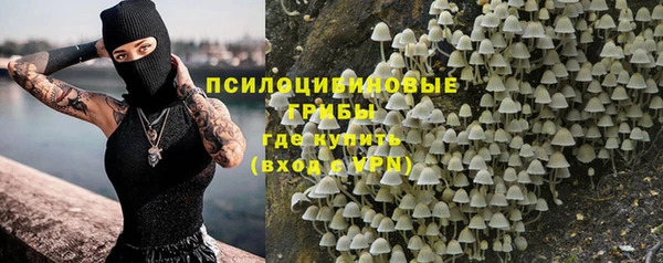 дмт Беломорск