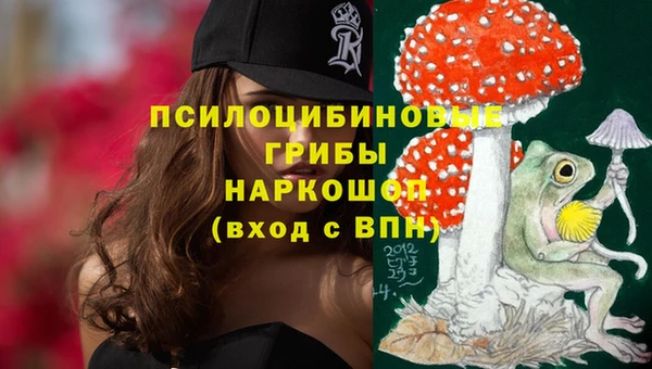 кокс Белокуриха