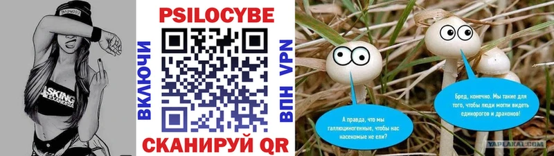 Галлюциногенные грибы Psilocybine cubensis  MEGA ссылка  Сегежа 