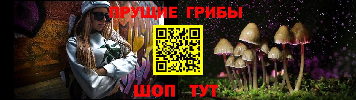 Сегежа  Галлюциногенные грибы мицелий  Вход с VPN  Псилоцибиновые грибы MAGIC MUSHROOMS 